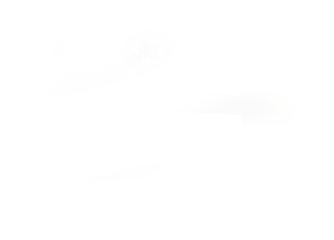 Soldier Solution